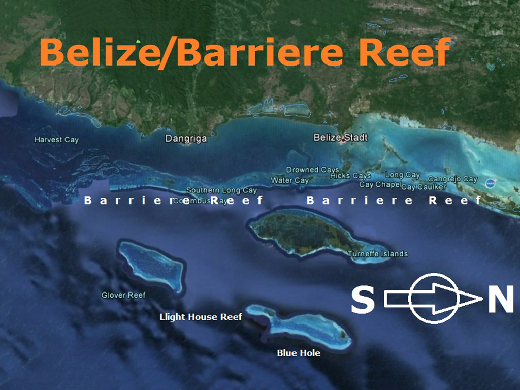 Diving grounds of Belize