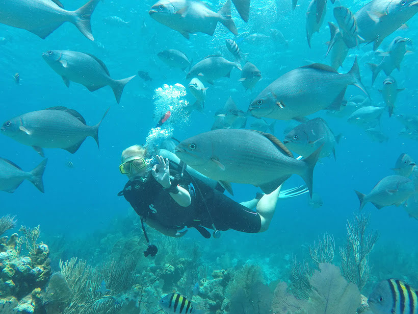 Diving off Belize